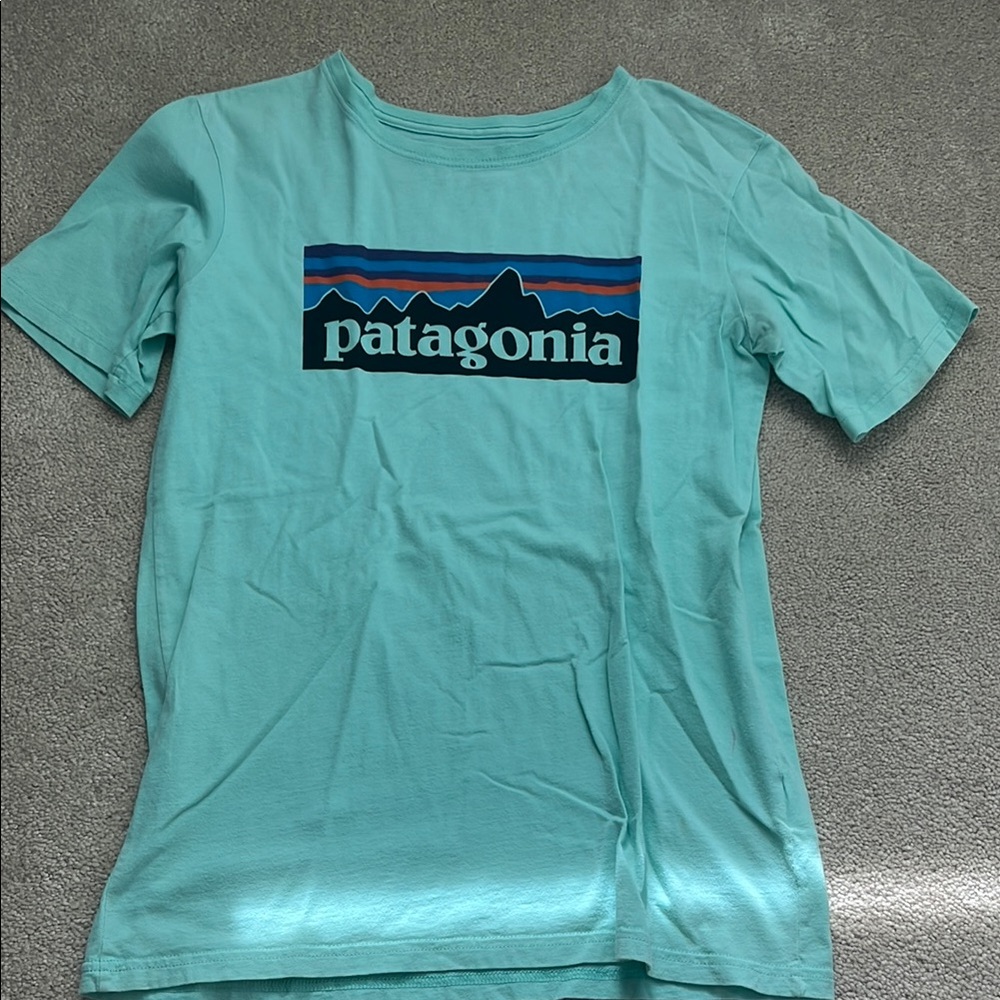 Patagonia Blue Short Sleeve Tee